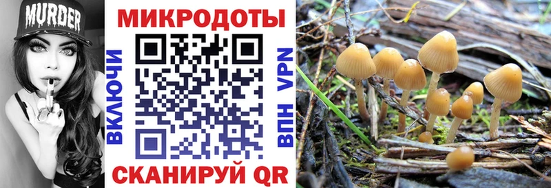 Галлюциногенные грибы Psilocybine cubensis где купить наркотик OMG ТОР Конаково